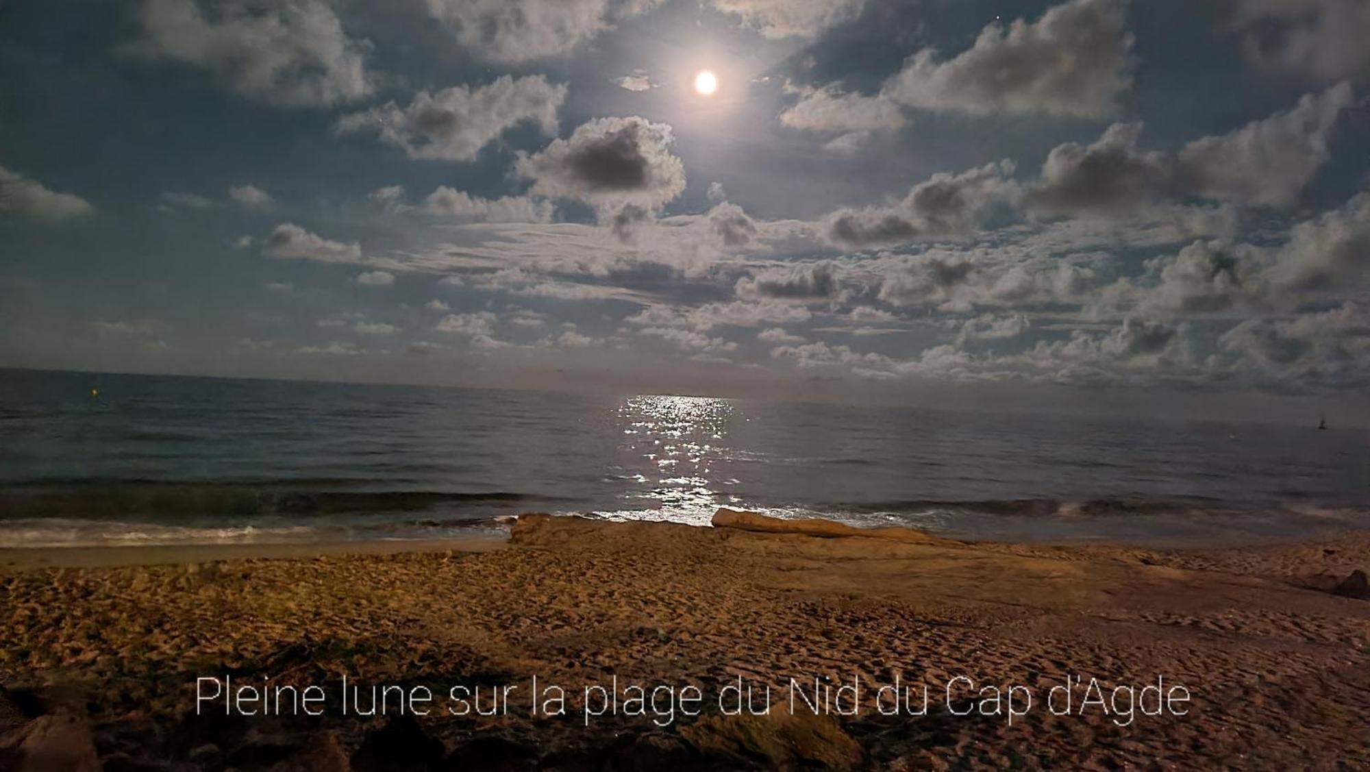 Residence De Standing La Pecherie Spacieux T3 Comme Un Cocon Familial Vue Mer Et Sur L'Avant Port Sur Le Bout Du Bout De Cap D'Agde Seule Cap En Occitanie 외부 사진
