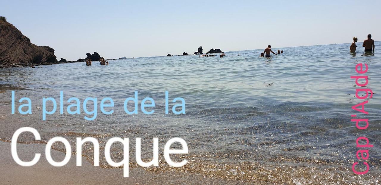 Residence De Standing La Pecherie Spacieux T3 Comme Un Cocon Familial Vue Mer Et Sur L'Avant Port Sur Le Bout Du Bout De Cap D'Agde Seule Cap En Occitanie 외부 사진